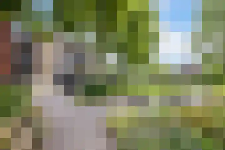 Koningin Wilhelminaweg 13 Houten thumbnail 4