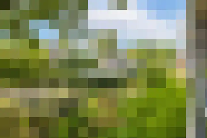 Koningin Wilhelminaweg 13 Houten thumbnail 42
