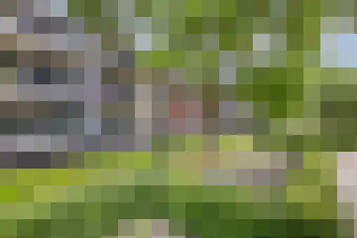 Koningin Wilhelminaweg 13 Houten thumbnail 43