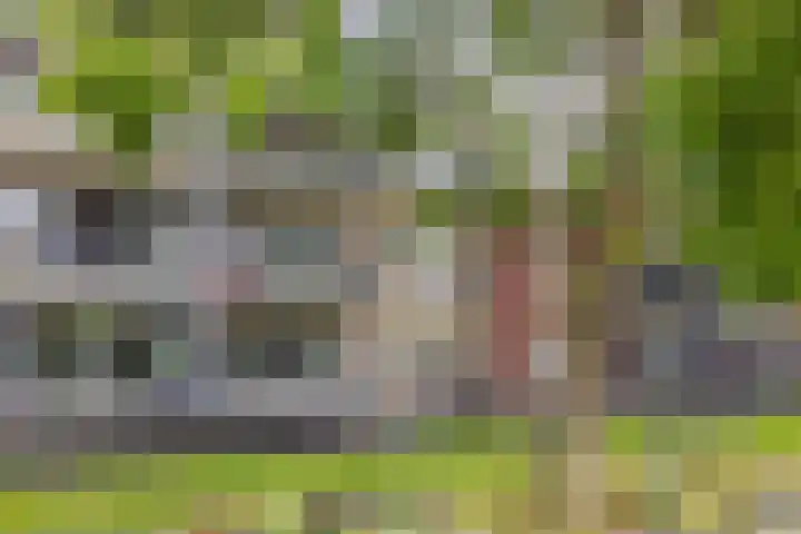 Koningin Wilhelminaweg 13 Houten thumbnail 46