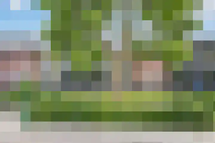 Koningin Wilhelminaweg 13 Houten thumbnail 48