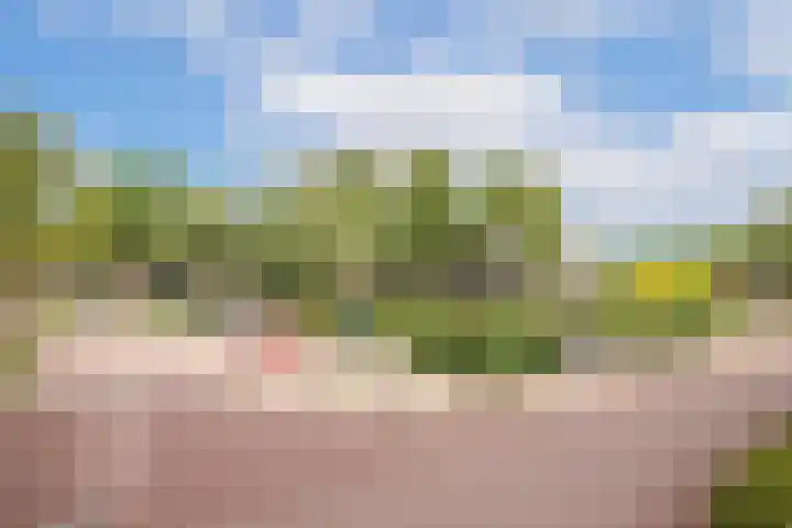 Koningin Wilhelminaweg 13 Houten thumbnail 49