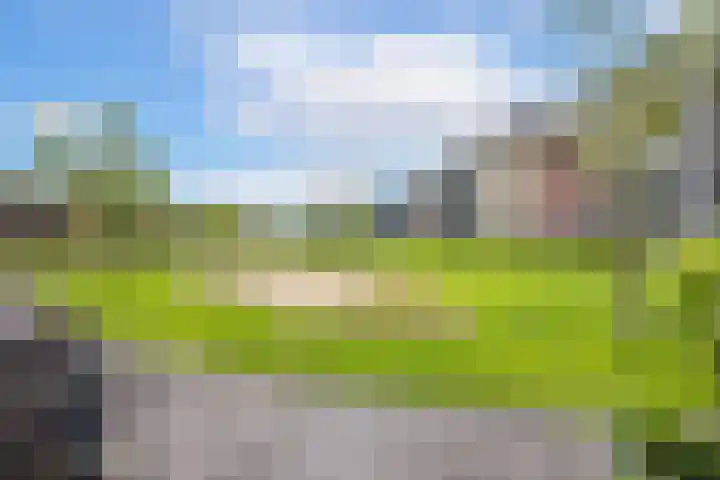 Koningin Wilhelminaweg 13 Houten thumbnail 50
