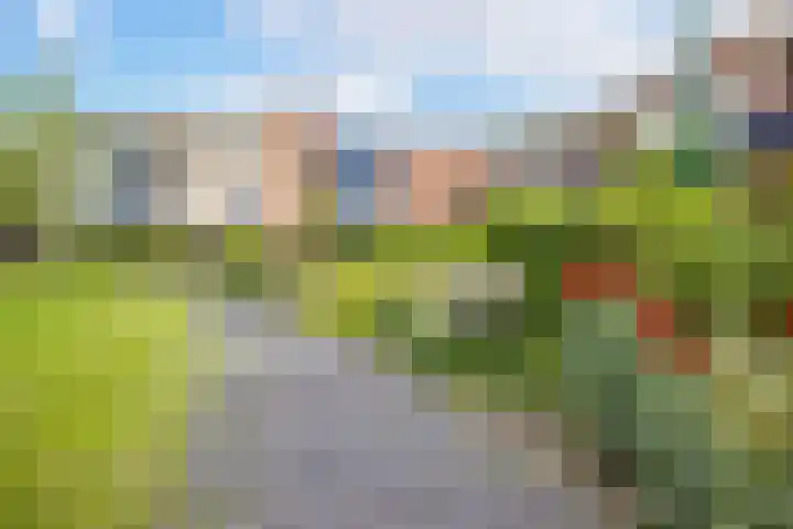 Koningin Wilhelminaweg 13 Houten thumbnail 51
