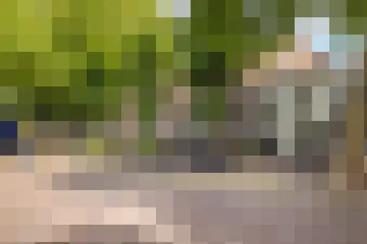 Koningin Wilhelminaweg 13 Houten thumbnail 53