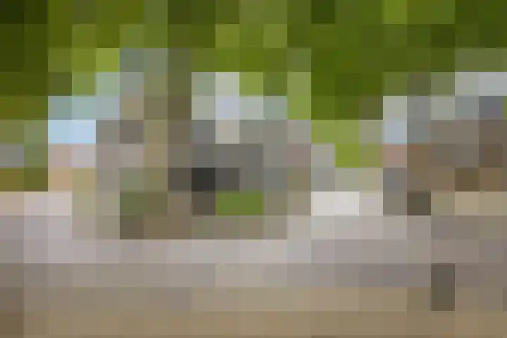 Koningin Wilhelminaweg 13 Houten thumbnail 54