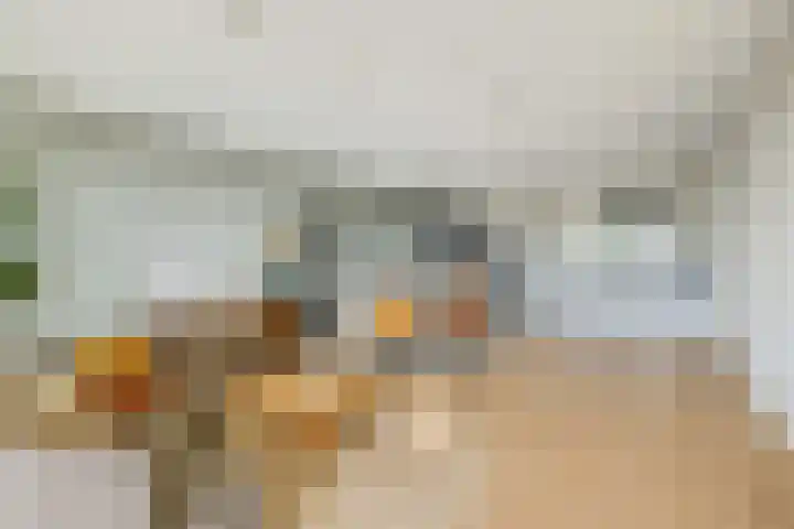 Koningin Wilhelminaweg 13 Houten thumbnail 8