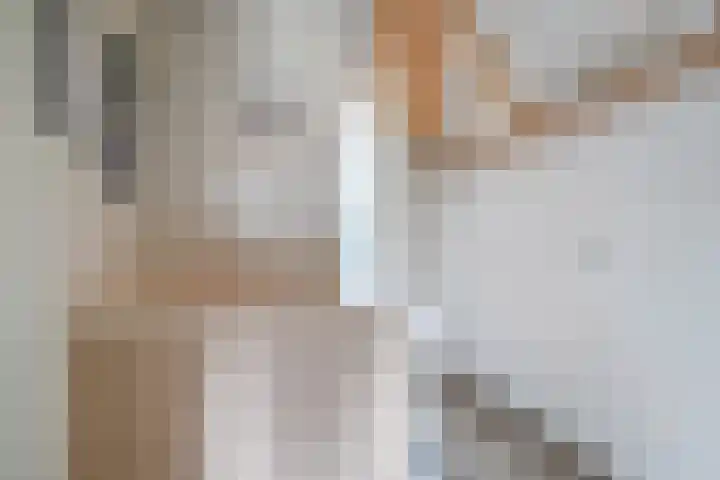 Koningin Wilhelminaweg 161 Gouda thumbnail 26