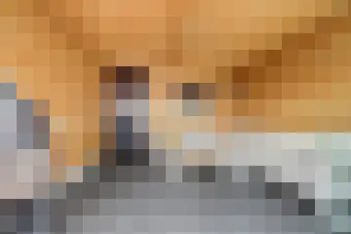 Koningin Wilhelminaweg 161 Gouda thumbnail 33
