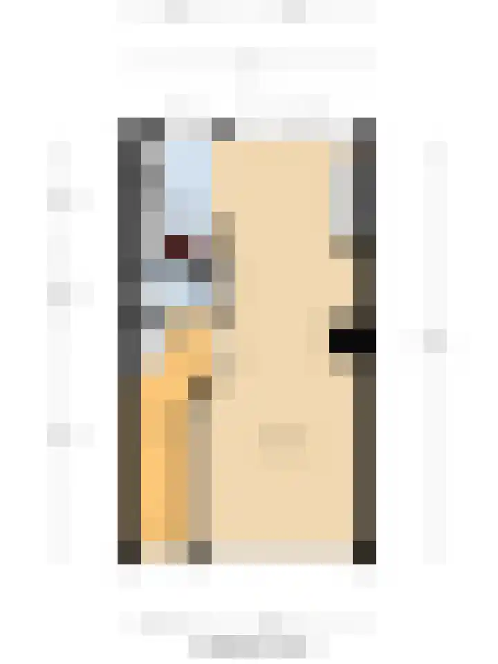 Koningin Wilhelminaweg 161 Gouda thumbnail 37