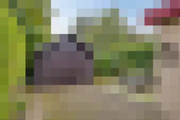 Koningin Wilhelminaweg 17 Heerenveen thumbnail 25