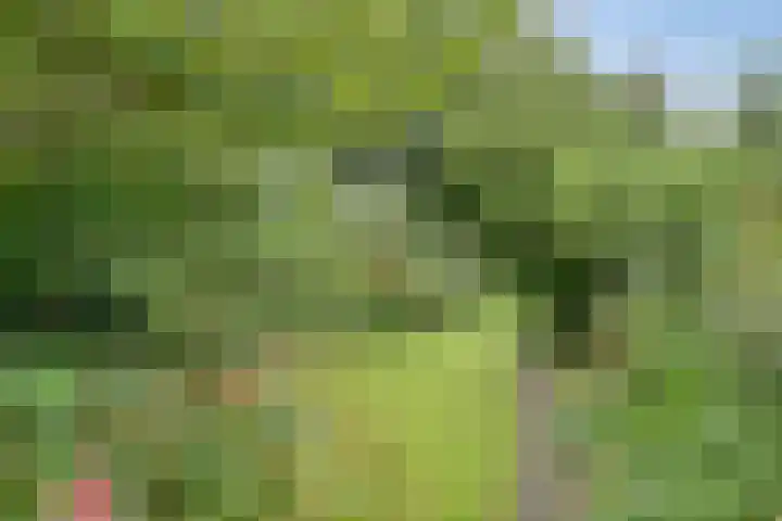 Koningin Wilhelminaweg 17 Heerenveen thumbnail 27