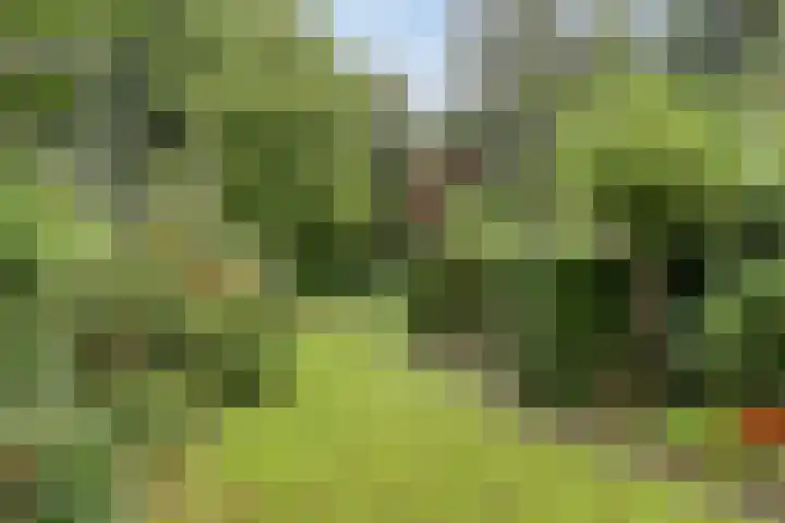 Koningin Wilhelminaweg 17 Heerenveen thumbnail 28