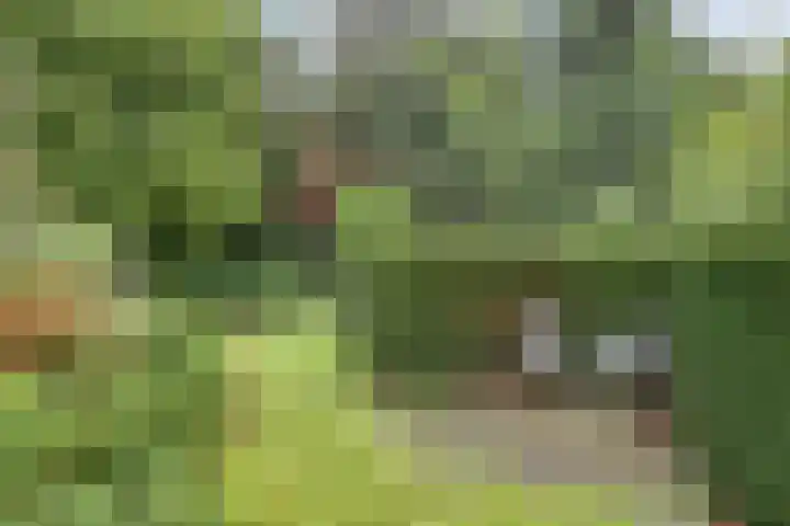 Koningin Wilhelminaweg 17 Heerenveen thumbnail 29