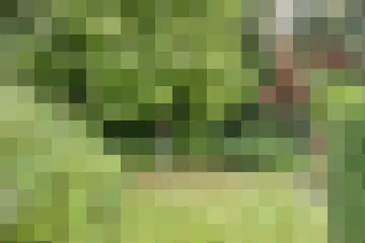 Koningin Wilhelminaweg 17 Heerenveen thumbnail 30