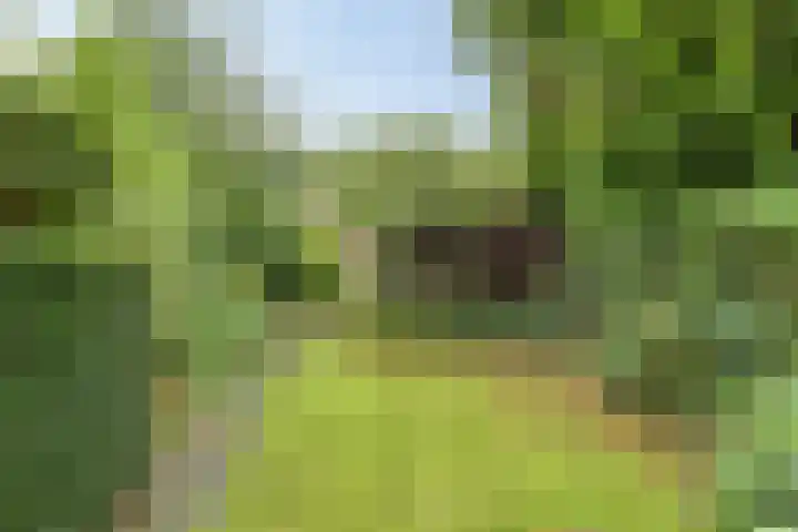 Koningin Wilhelminaweg 17 Heerenveen thumbnail 31