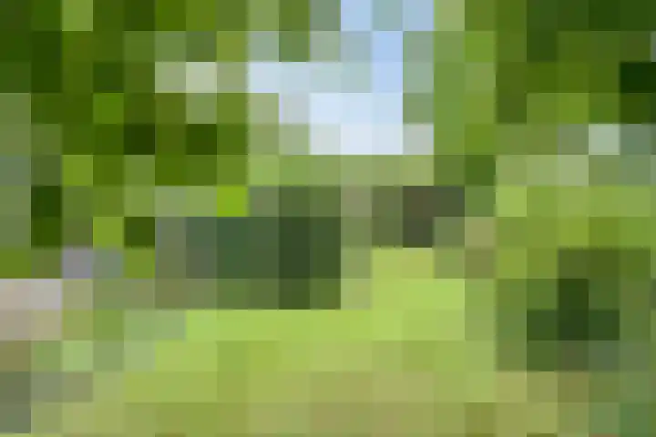 Koningin Wilhelminaweg 17 Heerenveen thumbnail 4