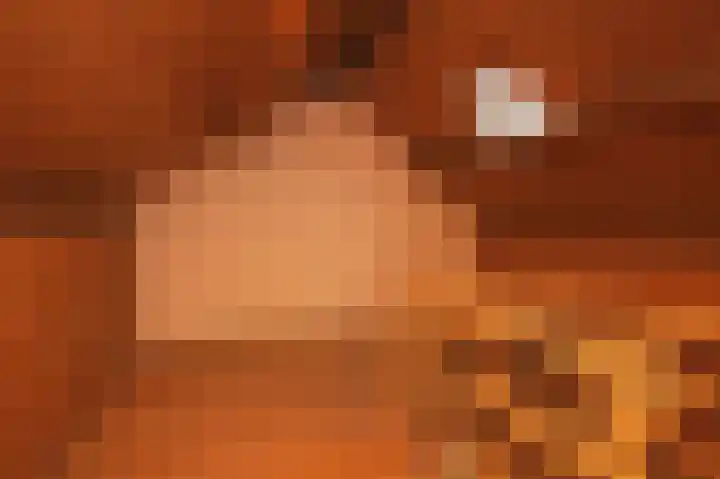 Koningin Wilhelminaweg 177 Gouda thumbnail 33