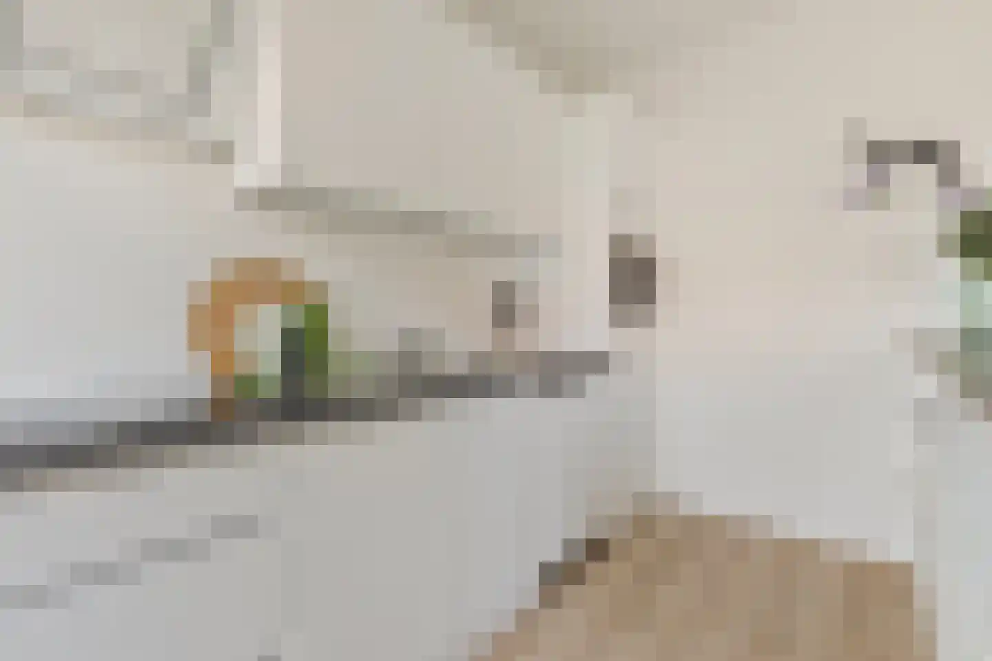 Koningin Wilhelminaweg 20 Gouda thumbnail 8