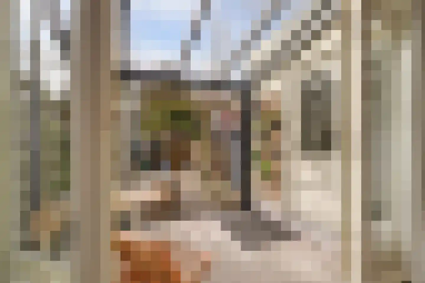 Koningin Wilhelminaweg 229 Gouda thumbnail 29