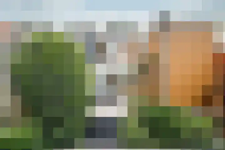 Koningin Wilhelminaweg 290 Gouda thumbnail 30