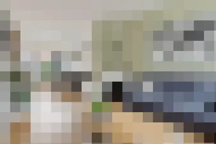 Koningin Wilhelminaweg 290 Gouda thumbnail 8