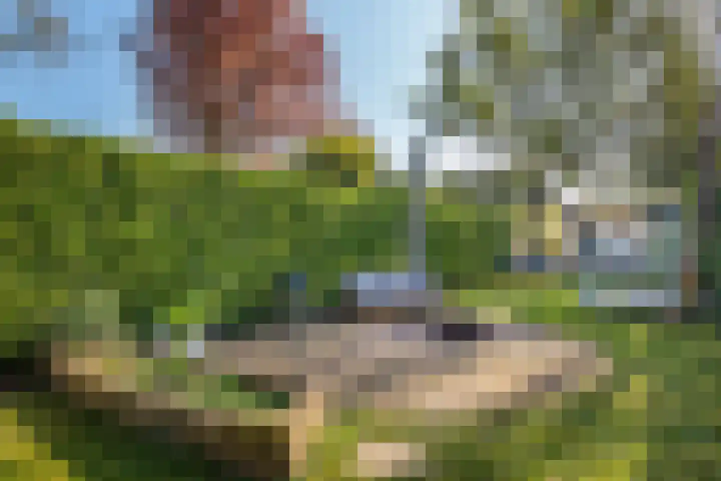 Koningin Wilhelminaweg 295 Groenekan thumbnail 15