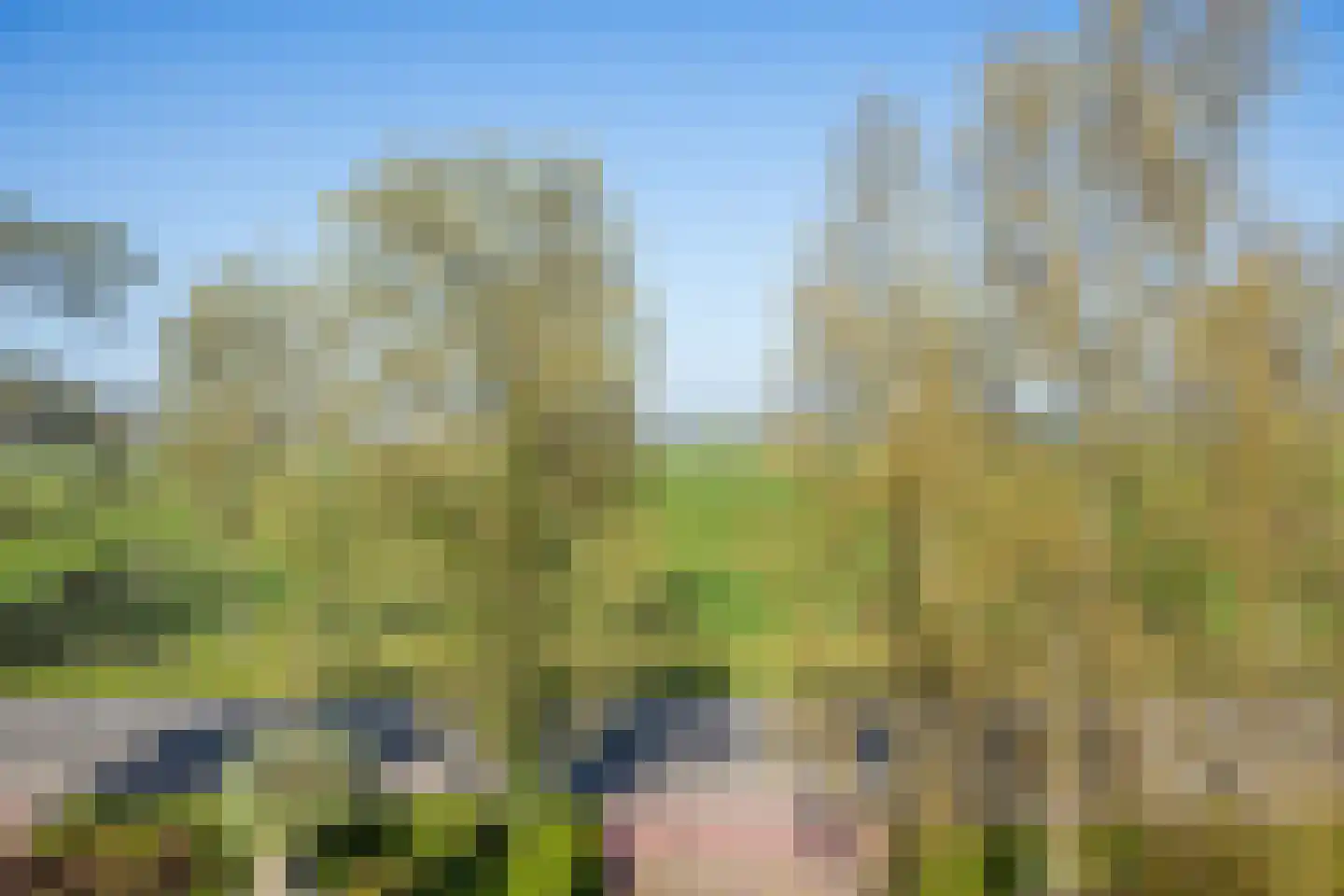 Koningin Wilhelminaweg 295 Groenekan thumbnail 24