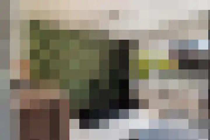Koningin Wilhelminaweg 302 Gouda thumbnail 19