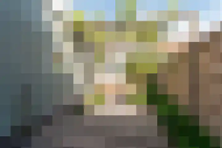 Koningin Wilhelminaweg 302 Gouda thumbnail 26