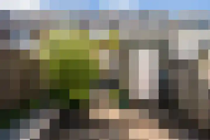 Koningin Wilhelminaweg 302 Gouda thumbnail 29