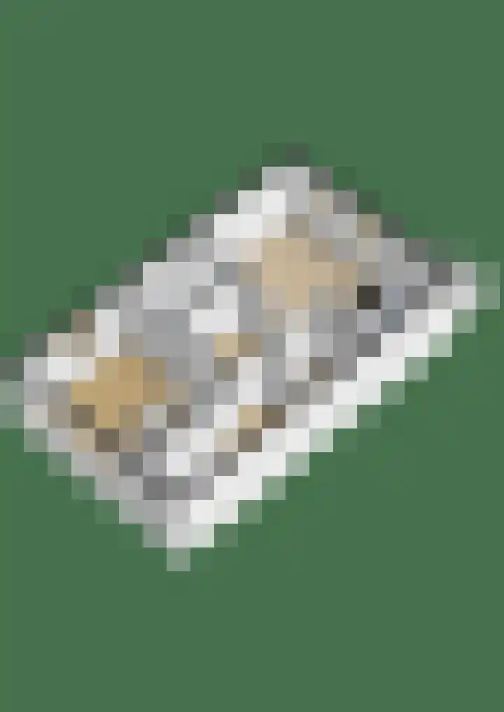 Koningin Wilhelminaweg 32 Gouda thumbnail 42