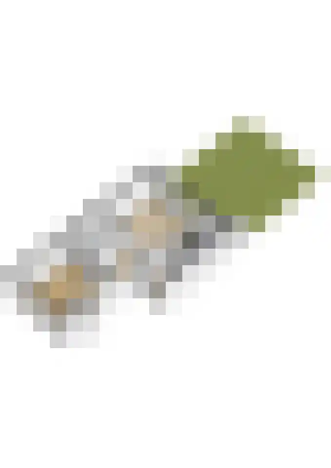 Koningin Wilhelminaweg 32 Gouda thumbnail 46