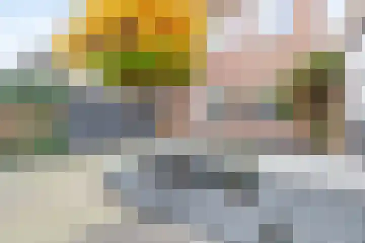 Koningin Wilhelminaweg 32 Gouda thumbnail 9