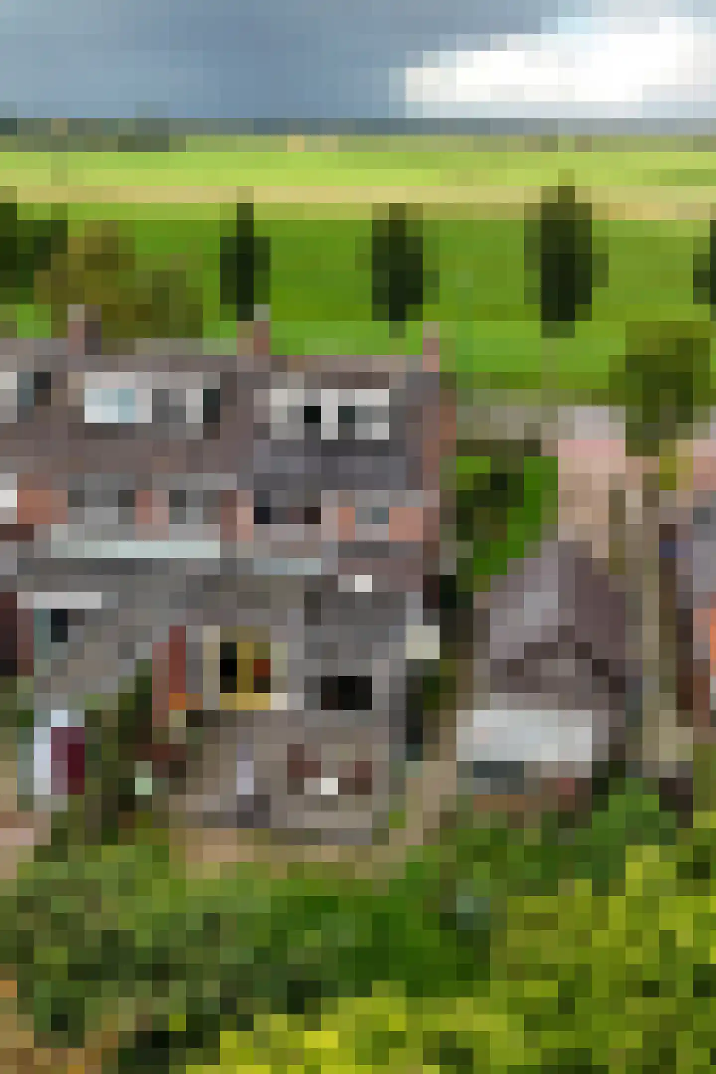 Koningin Wilhelminaweg 329 in Groenekan
