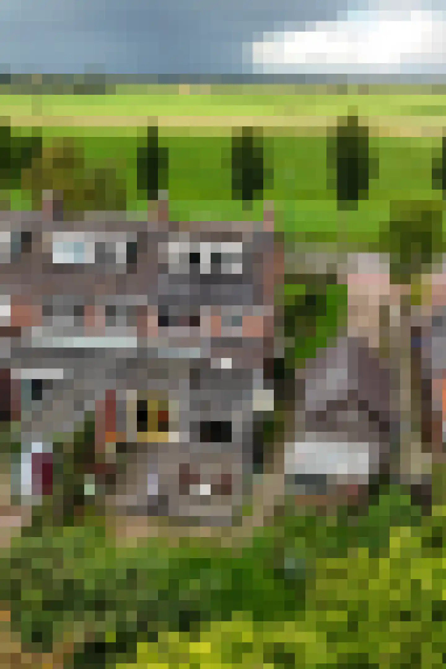 Koningin Wilhelminaweg 329 Groenekan