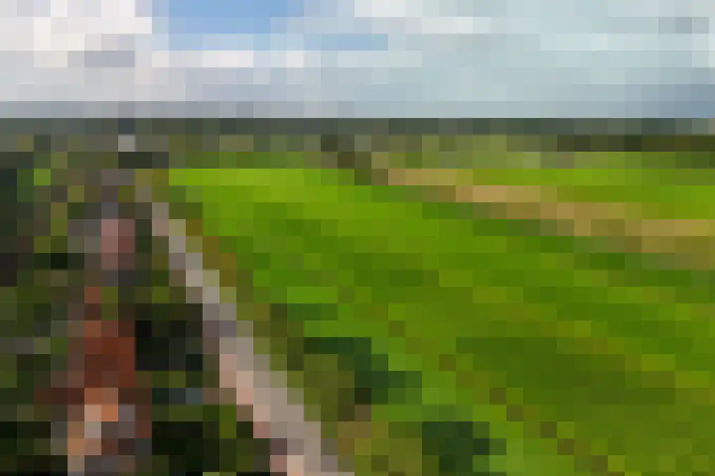 Koningin Wilhelminaweg 329 Groenekan thumbnail 4