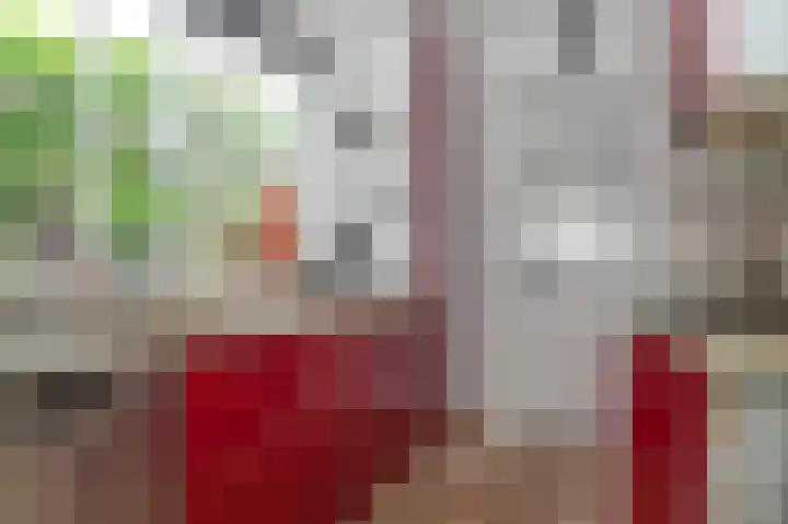 Koningin Wilhelminaweg 33 Zaltbommel thumbnail 16