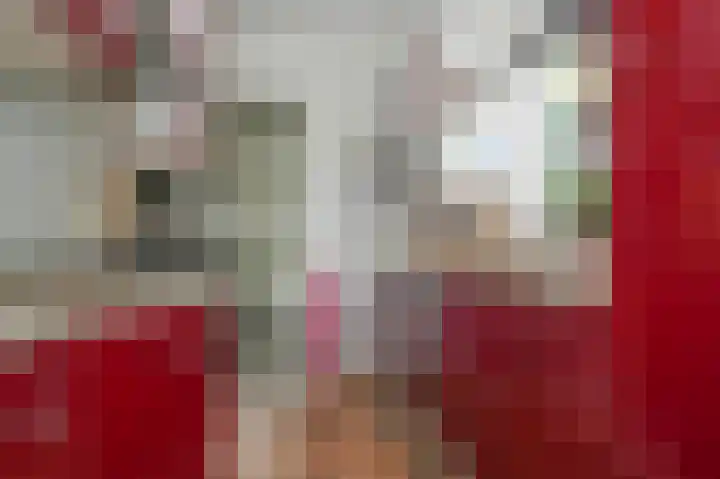Koningin Wilhelminaweg 33 Zaltbommel thumbnail 18