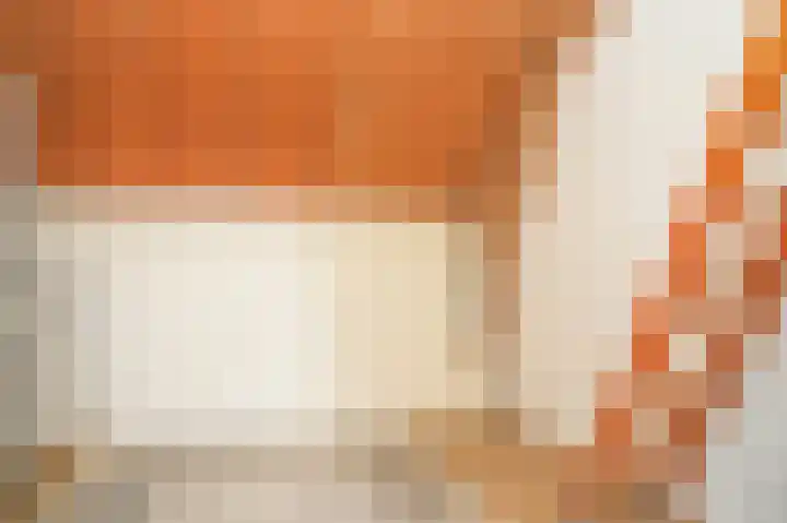 Koningin Wilhelminaweg 33 Zaltbommel thumbnail 39
