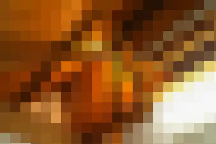 Koningin Wilhelminaweg 33 Zaltbommel thumbnail 40