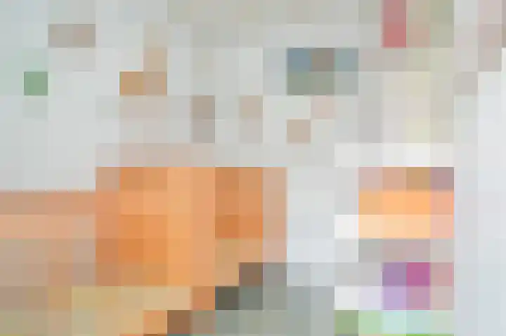 Koningin Wilhelminaweg 33 Zaltbommel thumbnail 49
