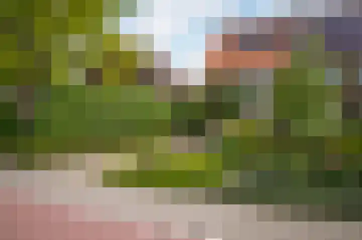 Koningin Wilhelminaweg 33 Zaltbommel thumbnail 60