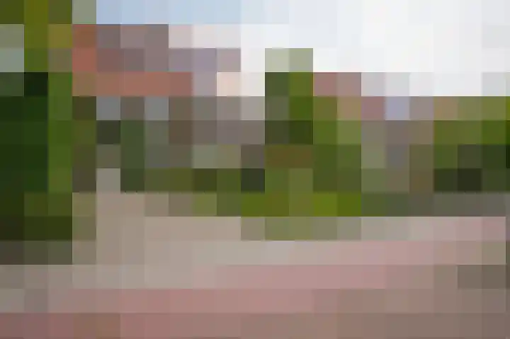 Koningin Wilhelminaweg 33 Zaltbommel thumbnail 61
