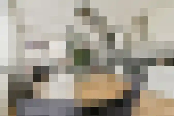 Koningin Wilhelminaweg 34 Gouda thumbnail 12