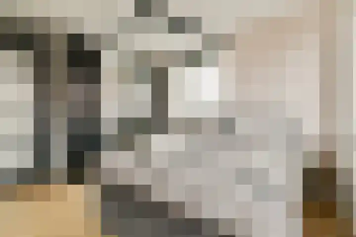 Koningin Wilhelminaweg 34 Gouda thumbnail 15