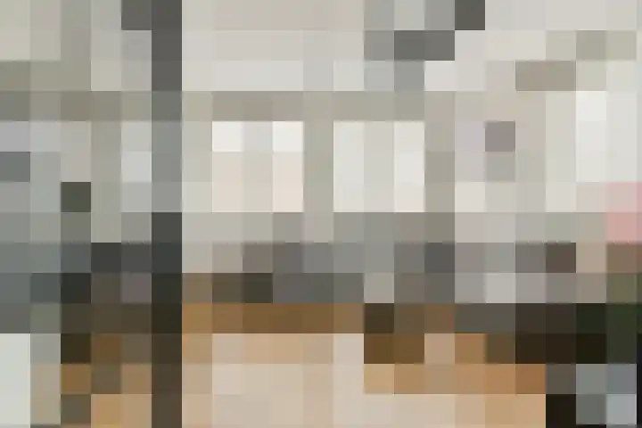 Koningin Wilhelminaweg 34 Gouda thumbnail 8