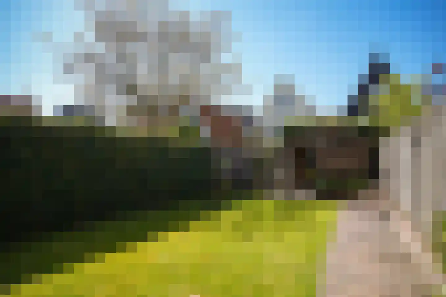 Koningin Wilhelminaweg 34 Zaltbommel thumbnail 4