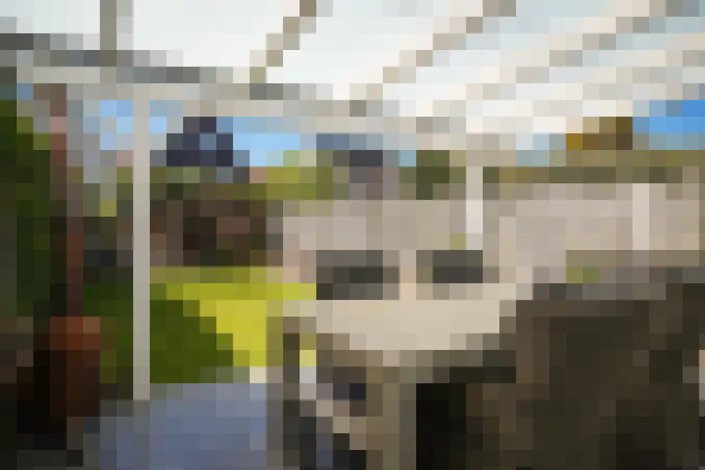 Koningin Wilhelminaweg 34 Zaltbommel thumbnail 43