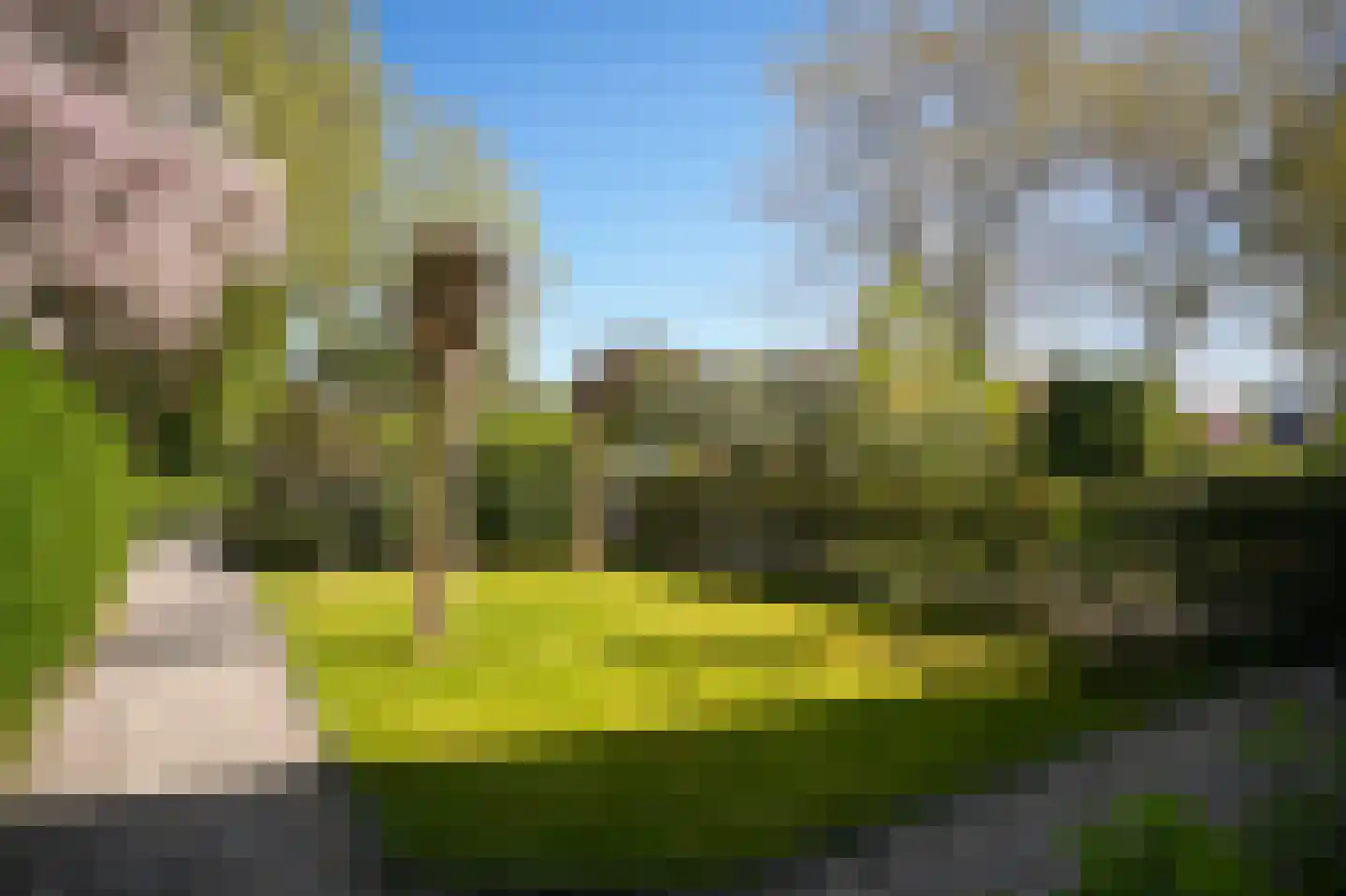 Koningin Wilhelminaweg 34 Zaltbommel thumbnail 48